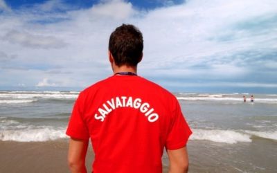 Immagine: 