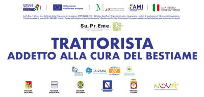 Immagine: 